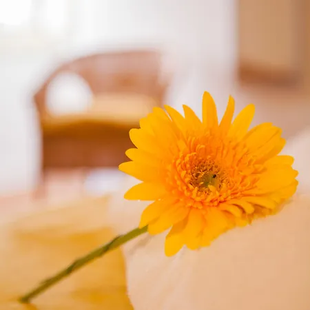 Pensionat Lx Center Chiado 3*